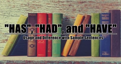 Has, Had, Have Usage