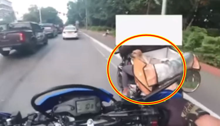 Delivery Rider