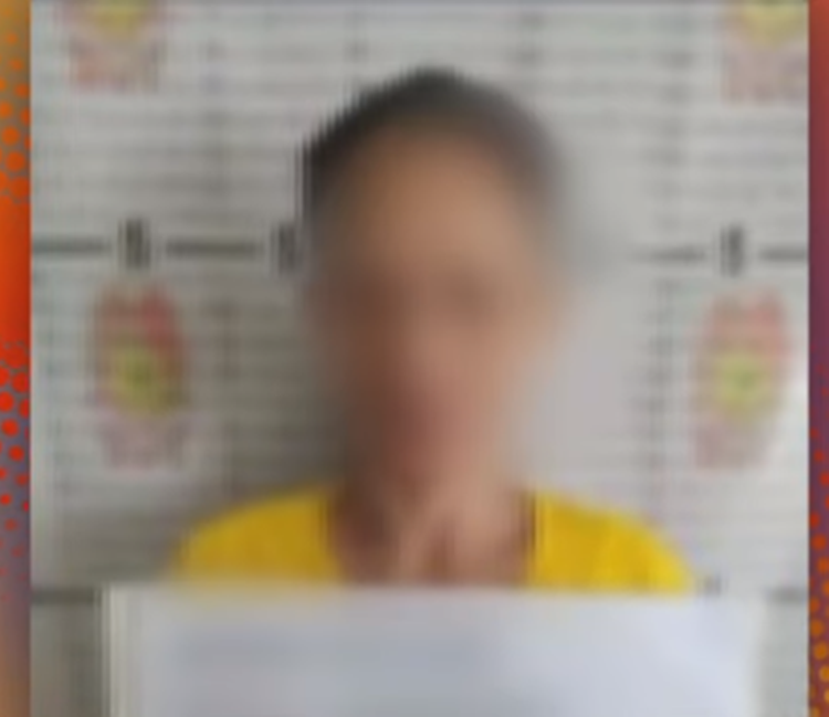 Online Teacher