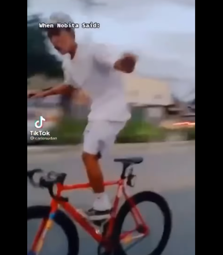 Reckless Cyclist