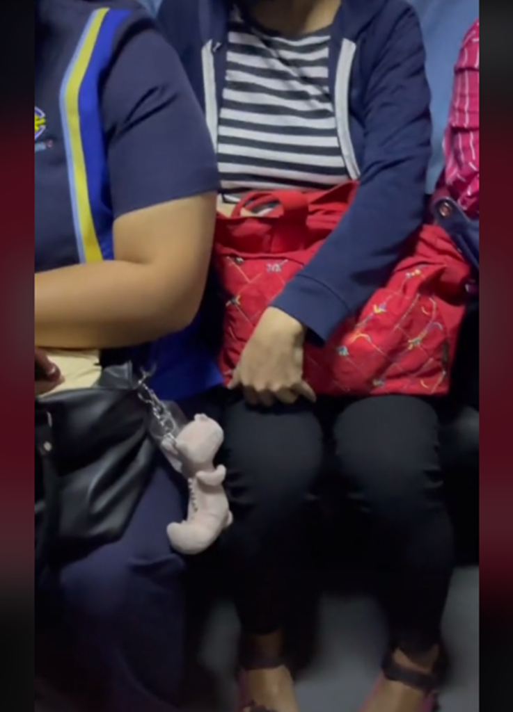 Lady Passenger