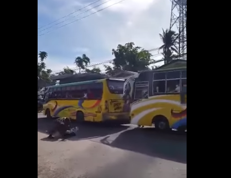 Bus Conductors