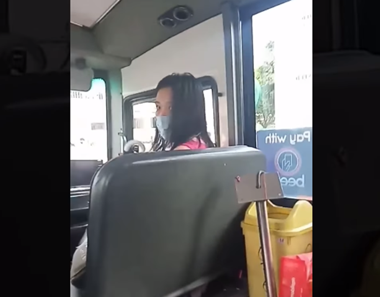 Lady Passenger