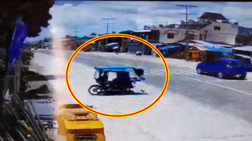 Self-Driving Tricycle