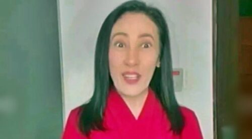 ai-ai delas alas
