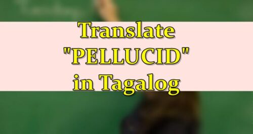 pellucid