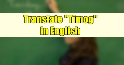 Timog in English
