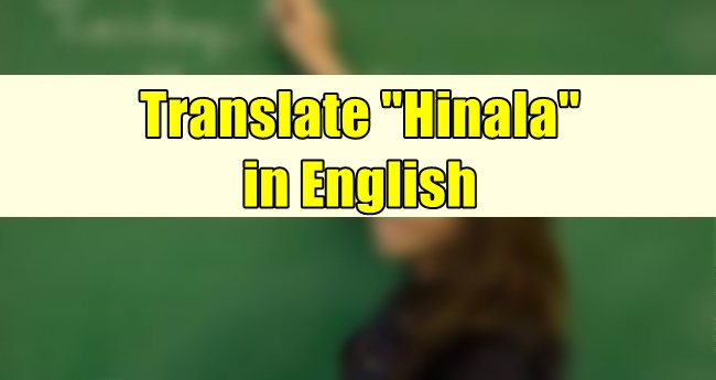 Hinala in English