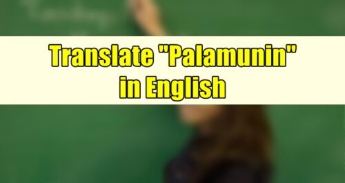 Palamunin in English