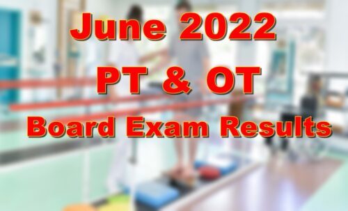 Physical & Occupational Therapist