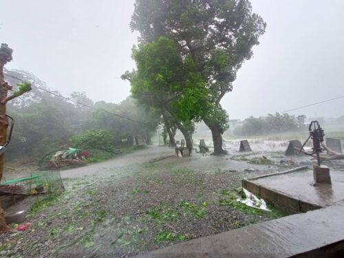 Typhoon Florita Death Toll