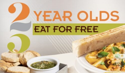 cibo italian restaurant