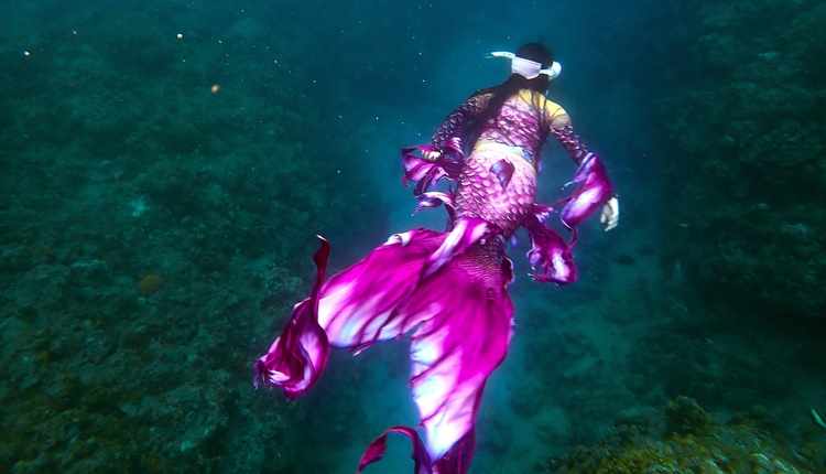 try mermaid course