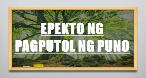 Epekto Ng Pagputol Ng Puno