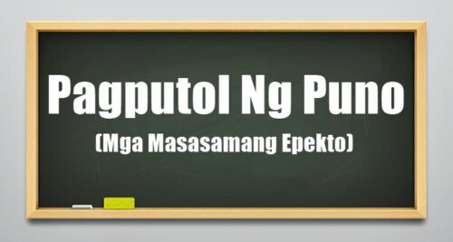 Pagputol Ng Puno
