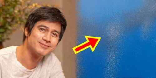 Piolo Pascual, Whale Sharks