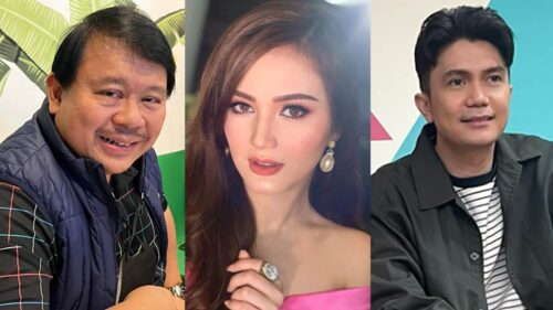 atty ferdinand topacio deniece cornejo vhong navarro