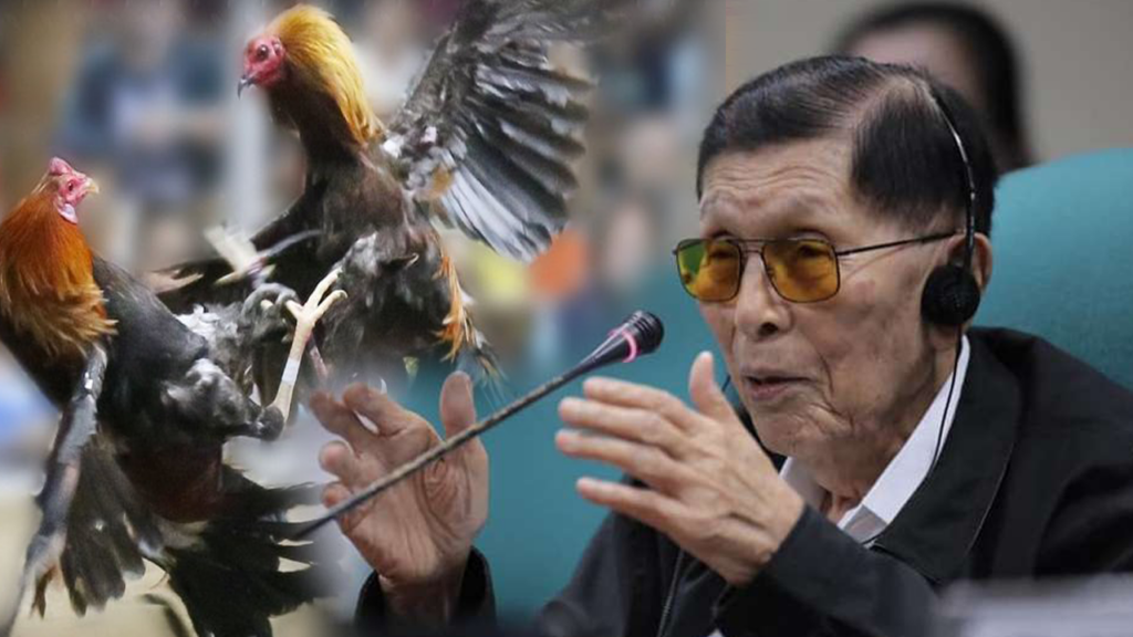 Enrile Party-list System