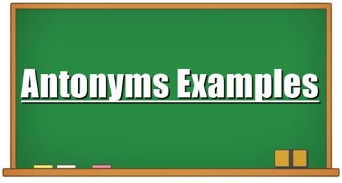 Antonyms Examples