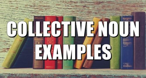 Collective Noun Examples