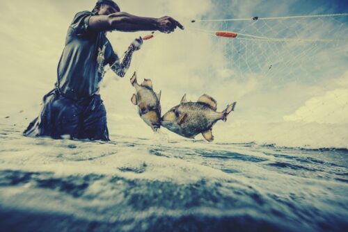 Fisheries Technologist Board Exam