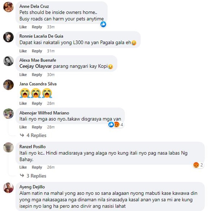 Hit-and-Run Incident