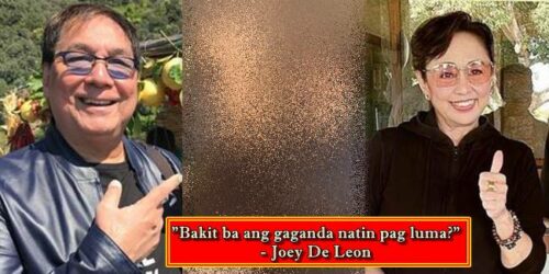 Joey De Leon, Vilma Santos 2