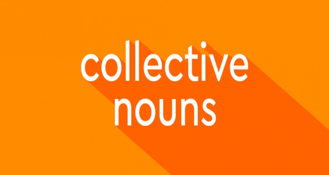 What Is A Collective Noun? Here's Its Definition and Examples