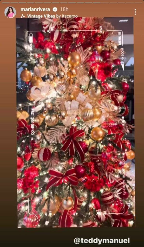 Marian Rivera Shows Off Fresh Pine Christmas Tree (Video)