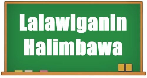 Lalawiganin Halimbawa