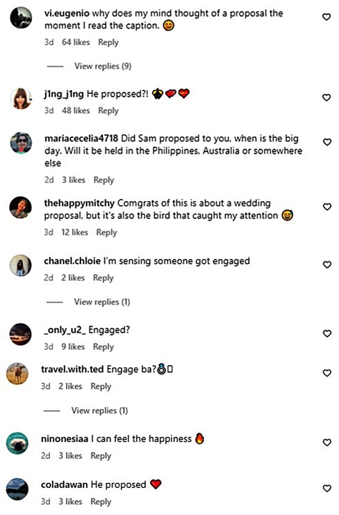 catriona gray comments