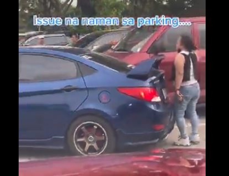 Desperate Lady