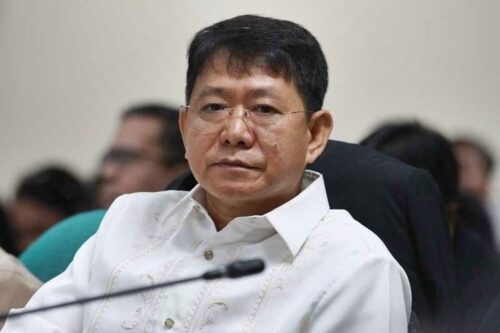 Former DILG Secretary Eduardo Año