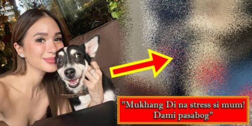 Heart Evangelista, Panda 2