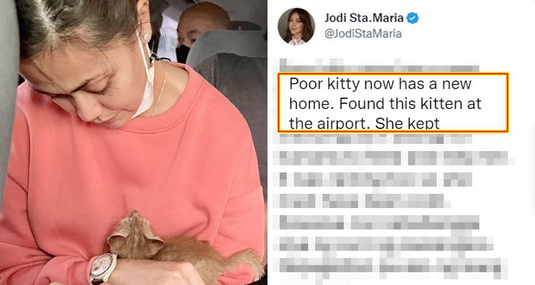 Jodi Sta Maria Shares Heart-Melting Story Of Adopted Cat