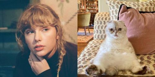Taylor Swift, Olivia Benson