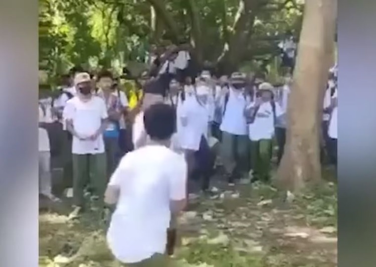 Young Students