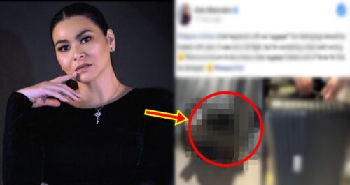 Aiko Melendez Luggage