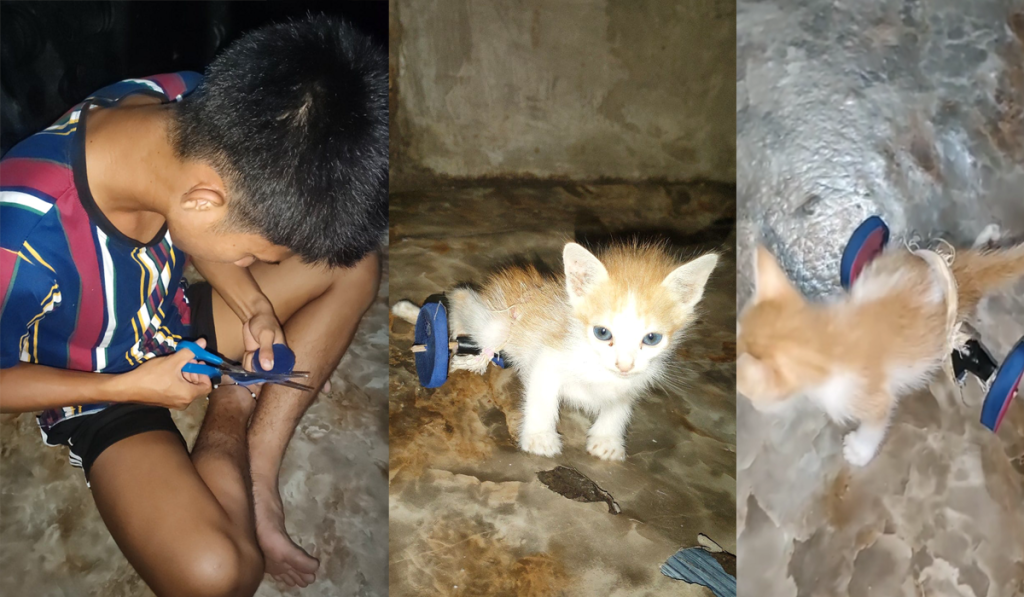 Guy Improvised Kitten Wheels