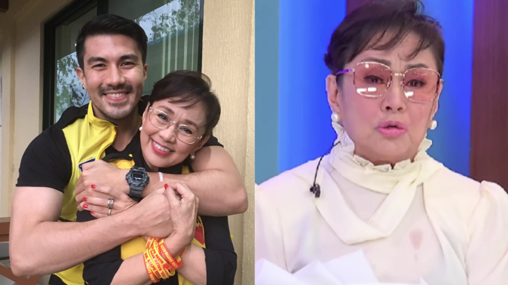 Vilma Santos Luis Case