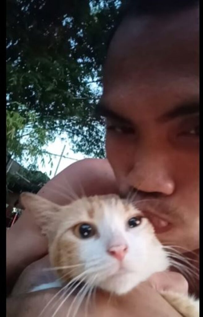 Fur Parent