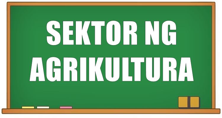 5 halimbawa ng trabaho sa sektor ng agrikultura