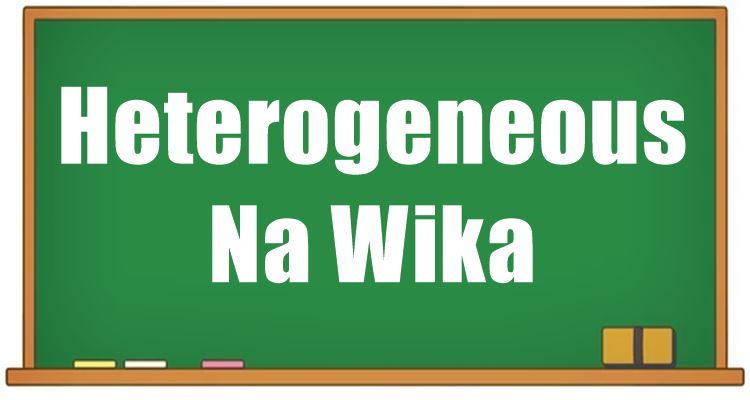 Heterogeneous Na Wika - Ano Ang Heterogeneous Na Wika?