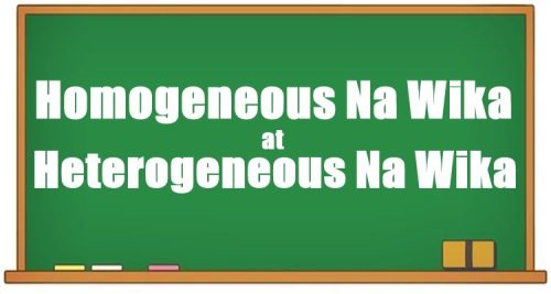 Homogeneous Na Wika at Heterogeneous Na Wika