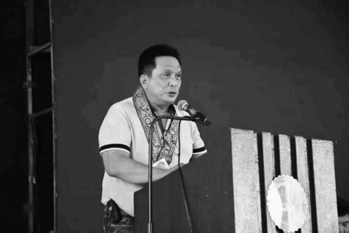 Negros Oriental Governor Roel Ragay Degamo