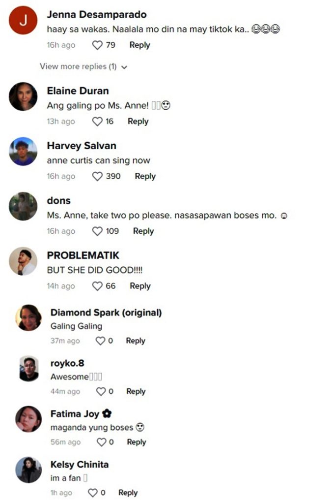 anne curtis comments