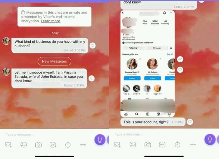 priscilla meirelles message 1