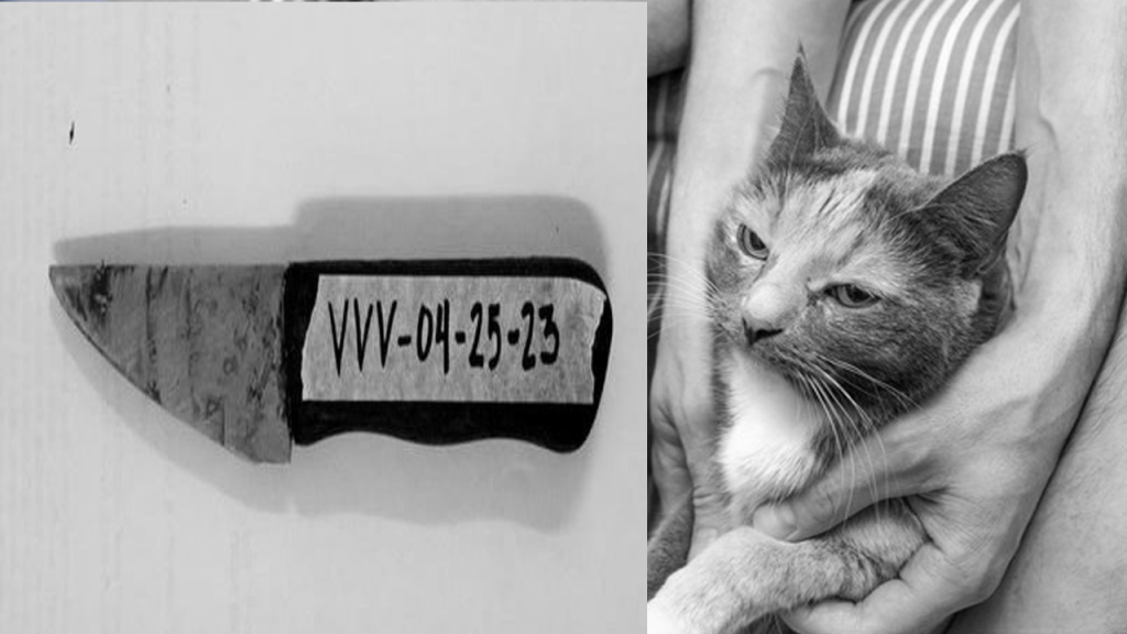 Cousin Stabbed Quezon City