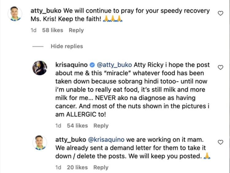 kris aquino comment