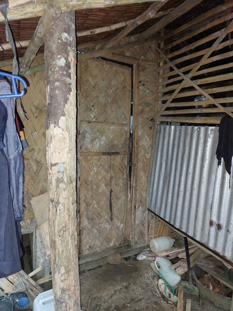 Unidentified Thieves